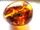 Egg Souvenir With Baltic Amber And Insects Inside    
