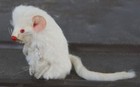 Vintage Real Fur Mouse West Germany Miniature White Albino Red Eyes Rare