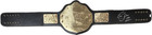 Ric Flair Autographed Custom Black   Gold Belt Jsa  Silver 16x Wooooo