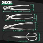 4 Pcs Bonsai Tool Set Heavy Duty Bonsai Tree Kit Bonsai Pot Concave Cutter kn   