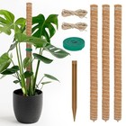 54 Inch Moss Pole  3 Pack 16 Inch Moss Poles Monstera Plant Support  Moss 