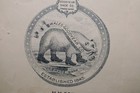 1897 Original Converse Boston Billhead Chuck Taylor Sneaker History Polar Bear