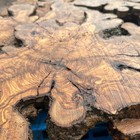 Set Of 5 Olive Wood Live Edge Burl Cookies For Resin Projects  Wood Art