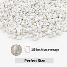 2lb White Polished Gravel Pebbles For Plants Vases Aquariums Gardening