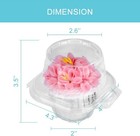 50 Pcs Cupcake Boxes Plastic Individual Cupcake Containers Single Cupcake Boxes