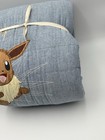 Pottery Barn Kids Pokemon Quilt   Full queen   Read