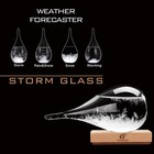 Storm Glass Weather Station  Weather Forecaster  Teardrop Glasss Barometer  C   