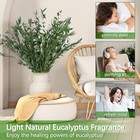 Real Eucalyptus Stems Greenery Decor 20pcs 17  Dried Willow Eucalyptus Plant    