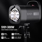 Neewer 600ws Studio Monolight Flash Light Kit  2 Pack  S101-300w 5600k Fast Ship