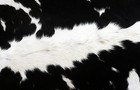100  New Cowhide Rugs Area Cow Skin Leather  39  X 33   Cow Hide Sa-1143