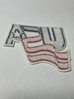 Usa Hockey Iron On Patch 3 5  X 2 25   Fast Free Shipping