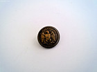 Civil War Confederate Officer Cs Shield Button