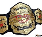 New Tna World Heavyweight Championship Replica Title Belt Adult Size 6mm Zinc