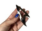 Star Trek Command Fleet Silver Badge Vintage  Majel Roddenberry Collection  