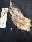 Vintage Large Clump Of  Premium Pintail Drake Duck Feathers 292