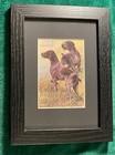 German Pointer - Matted   Framed   Ready To Gift - New Vintage Dog Art Print