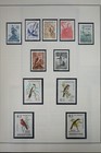 South America Vintage Stamp Collection