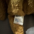 Ty Beanie Babies Fuzz Bear Plush 1998 With Tags Errors
