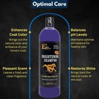 E3 Elite Brightening Horse Shampoo 32oz  Deep Cleansing   Coat Enhancer