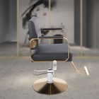Hydraulic Recline Barber Chair - Adjustable Salon Spa Hair Styling Chair