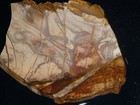 Willow Creek Jasper Slab -  4 7 8    X 3 3 4  Rough--cabbing--display-geology