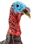 Turkey Decoy  jake  Primos   Photoform  69069 Light-weight Flexible 3d Foam New 