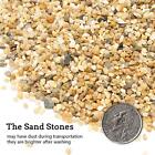 5 Lb Coarse Sand Stone - Succulents And Cactus Bonsai Diy Projects Rocks  Dec   