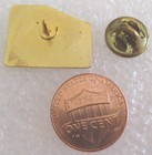 Carlsbad Caverns National Park Tourist Travel Souvenir Pin - New Mexico