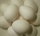One Dozen Blown Out Large White Chicken Eggs One Hole Pysanky Easter Fast Ship  