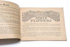 Dr  Miles Nervine Antique Remedy Medicine Adv Booklet State Flowers 1920 s