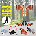 Tree Spikes Adjustable Height Pole Tree Climbing Spurs Steel W 2 Climbing Gear