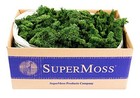 Super Moss  21710  Reindeer Moss Preserved  Appx  3 Lb Bulk Case Forest Green