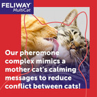 Feliway Multicat Calming Refills 3-pack 48ml     Reduces Cat Conflict   Tension