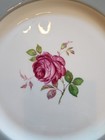 Wallace Sterling Silver Rimmed Castleton Rose China  Server Plate Charger 