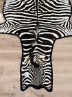 A Grade Zebra Hide  Zebra Skin  Zebra Rug - South African Burchell  s Zebra 46f 