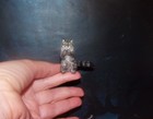 Cat Pray Made To Order Ooak 1 12 Miniature Dollhouse Handmade Realistic Igma