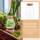 Glass Display Bottles Water Bottle Hydroponics Greenhouse Terrarium