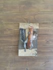 Gray Squirrel Taxidermy Wall Mount Rustic Full Body Grey Animal Art Fox coyote 