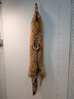 Huuuuggge Red Coyote Pelt  Thick Heavy Fur  63  Tip-tip Tanned   Redcoy61526