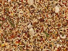Bundle  2  Higgins Sunburst Gourmet Blend Parakeet Bird Food  2-lb Each  With   