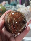 High Quality 3in Petrified Wood Crystal Healing Stone Sphere Bl2
