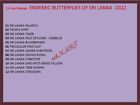 Endemic Butterflies Of Sri Lanka  2022  Stamp 12 Nos