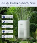 Air Purifiers For Home Large Room 2200sq ft W  Washable Filter Dual Intake