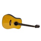 Takamine G Series G530 Natural 6-string Right-handed Acoustic Guitar