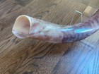 Yemenite Shofar Kudu Horn 42  Full Polished W  Acrylic Display Stand