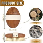 Body Brush Solid Acacia Wood Boar Long Bristles Bath Brush For Skin