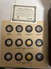 The Morgan Mint 2004 Ultimate Nickel Collection Coin Set Of 12 W  Case Coa