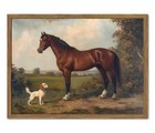 Framed Vintage Wall Art  Rustic Pictures Wall Decor  10 l X 8 w Horse And Dog