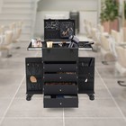 Professional Makeup Case Organizer Travel Case Rolling Makeup Cosmetics Case
