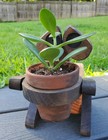  Handmade Cute Robot Plant Holder